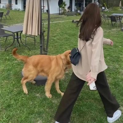 暴力效应