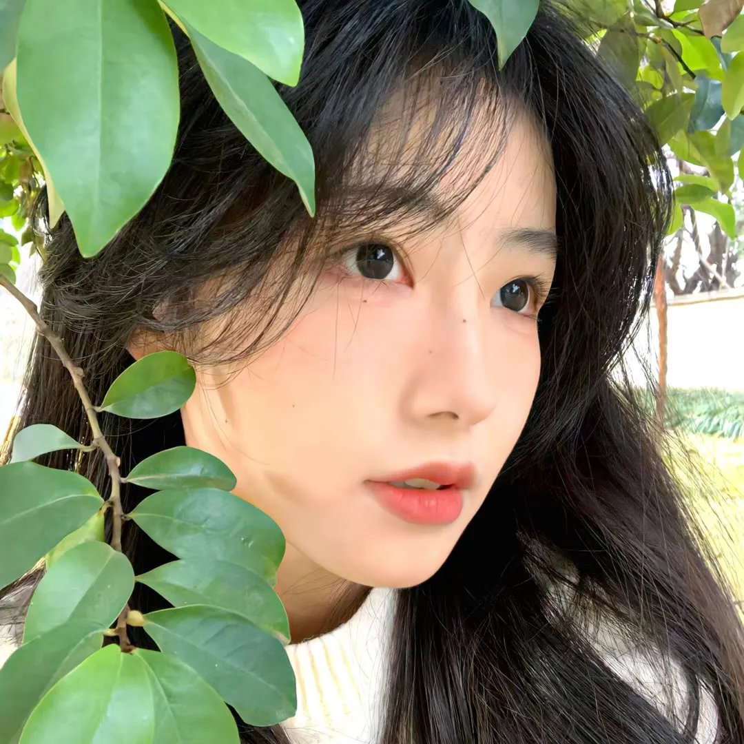 说得好，小猫咪！